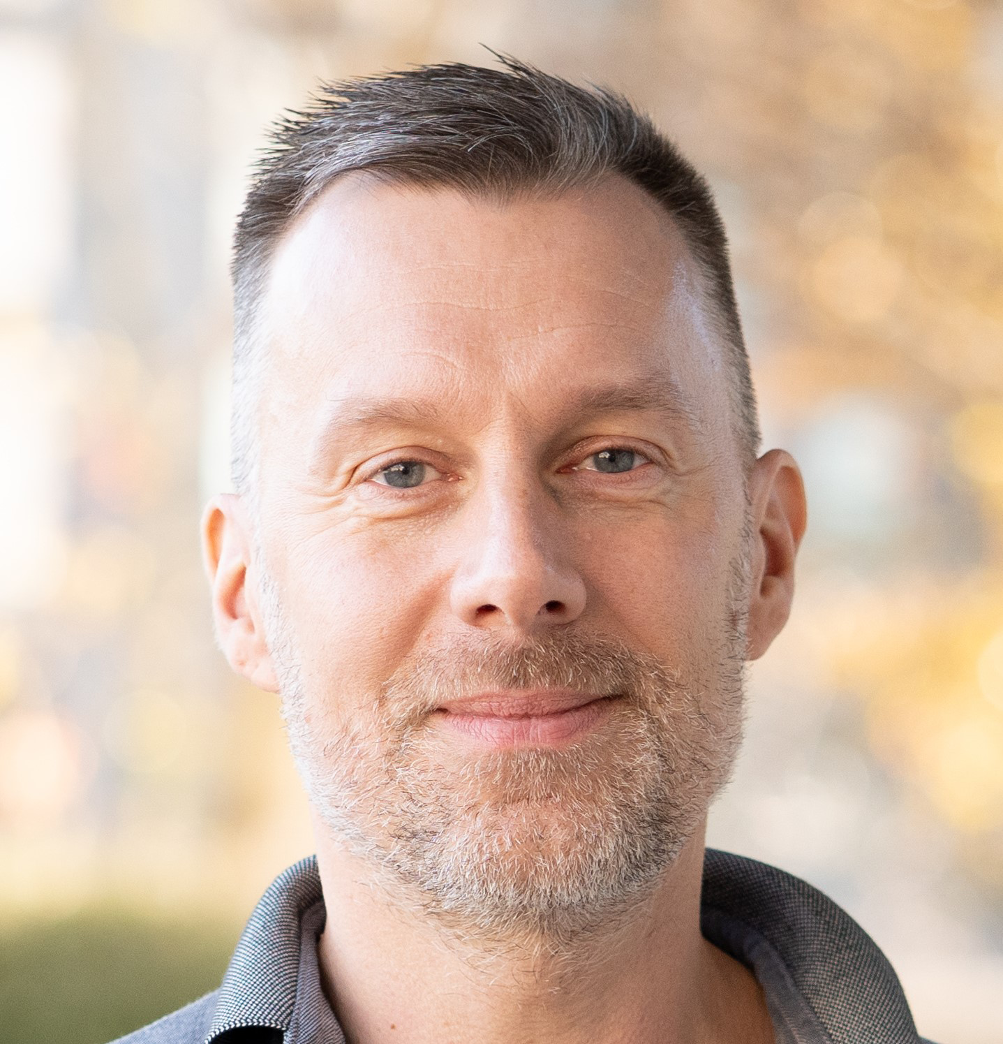 Stuart Dinnes, Verisign
